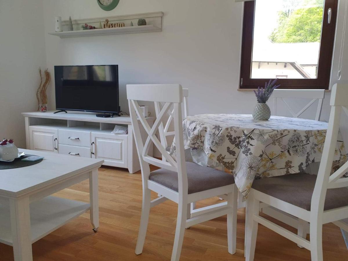 Vila Irina - Apartman Milos コパオニク エクステリア 写真